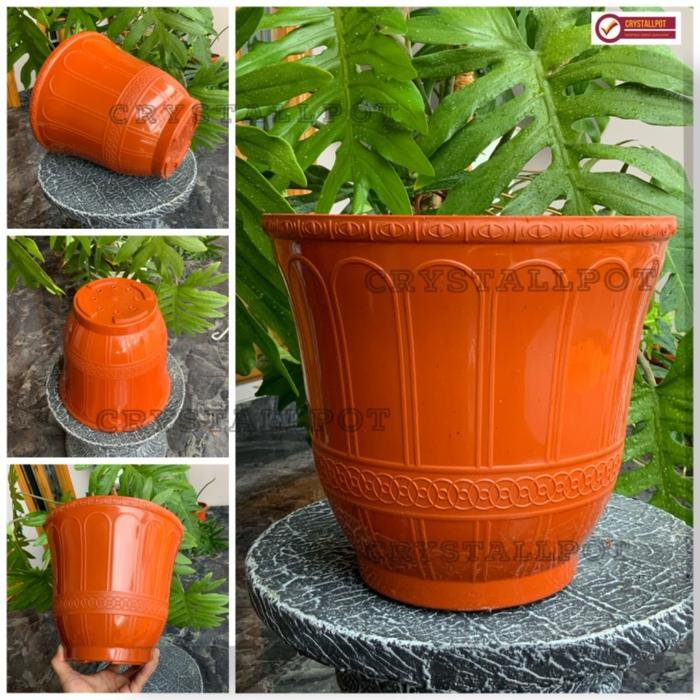 Gambar Pot Plastik Bunga Tanaman Hias Roma MERAH PUTIH tinggi NO.20-25 CJP - MERAH 20 dari Beri benih undefined Tokopedia