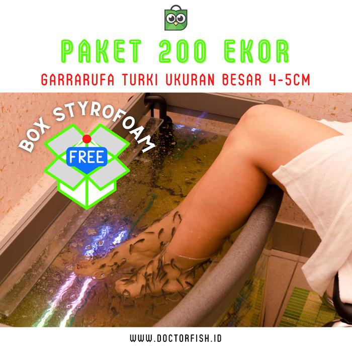 Gambar 200 Ekor Garra Rufa Besar - Ikan Terapi - Include Karantina & Box dari Doctor Fish ID Official (Miffee Fish Spa) undefined Tokopedia