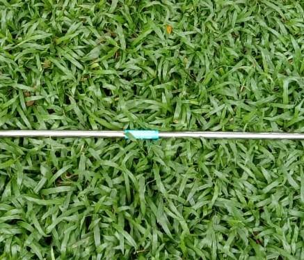 Gambar 120cm Penjepit Penangkap Tongkat Ular / Grab Stick Snake Tongs + LOCK - Promo STAINLESS dari Mulia Jaya Tortuga undefined Tokopedia