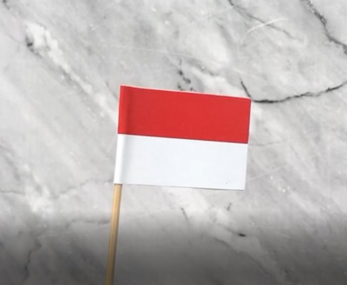 Gambar Topper Bendera 2 sisi Merah putih corak dan negara dunia hiasan cake - Merah Putih dari Sweet Topper undefined Tokopedia