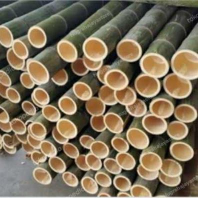 Jual sedia bambu betung ukuran 70-100cm Pangandaran