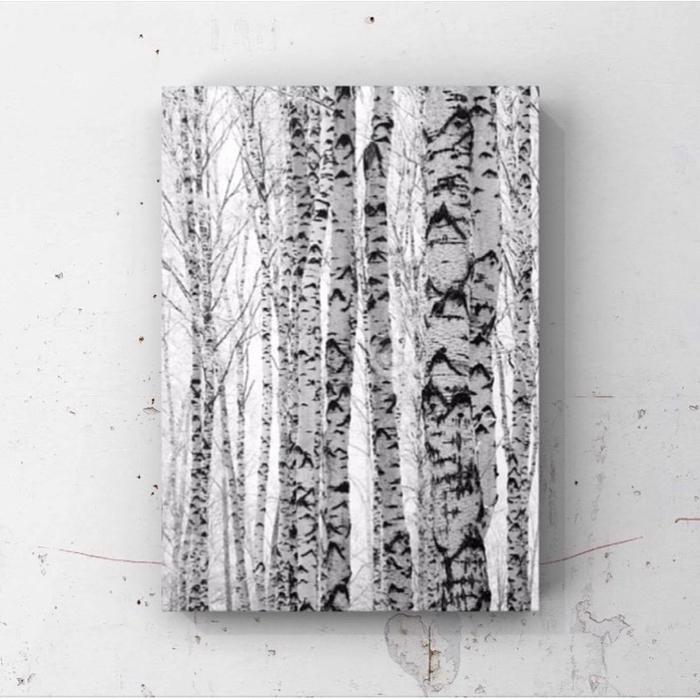 Gambar Hiasan Dinding Monokrom Poster Kayu Rusa Wall Decor Hitam Putih - T1, Standar dari walldecorbdg undefined Tokopedia