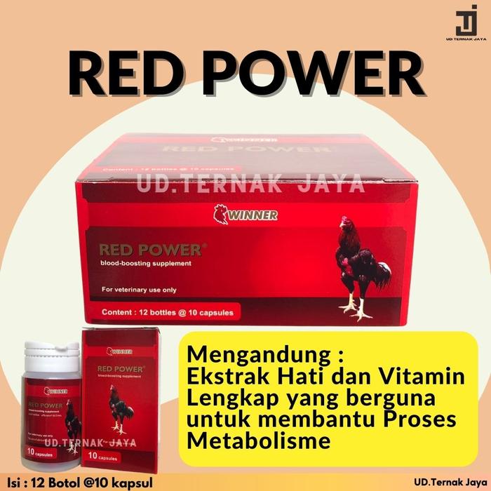 Gambar Red Power 1 box isi 12 botol Penambah Darah Ayam Aduan Winner Medion dari UD Ternak Jaya undefined Tokopedia