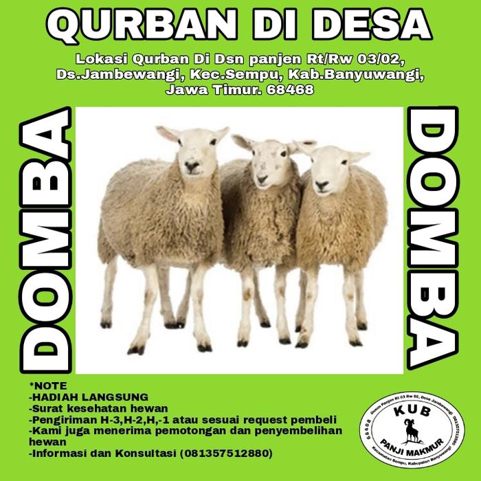 Gambar PROGAM BERBAGI QURBAN KAMBING DOMBA DI DESA - 25kg dari KUB PANJI MAKMUR undefined Tokopedia