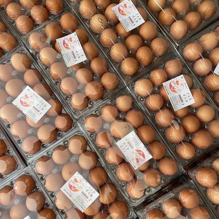Gambar Telur Ayam Negri FRESH Grade A (Standard) - Box = 15 Butir dari James and Jen undefined Tokopedia