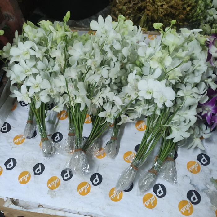 Gambar Bunga Anggrek Dendrobium (Bunga Segar Jakarta) - Putih dari 3rd florist undefined Tokopedia