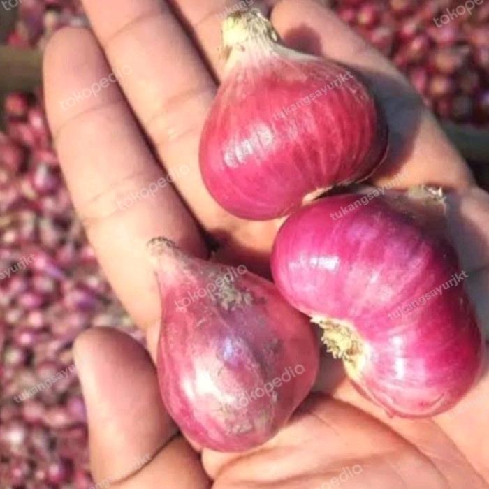 Gambar TERMURAH!!! bawang merah pilihan 1kg dari tukangsayurjkt undefined Tokopedia