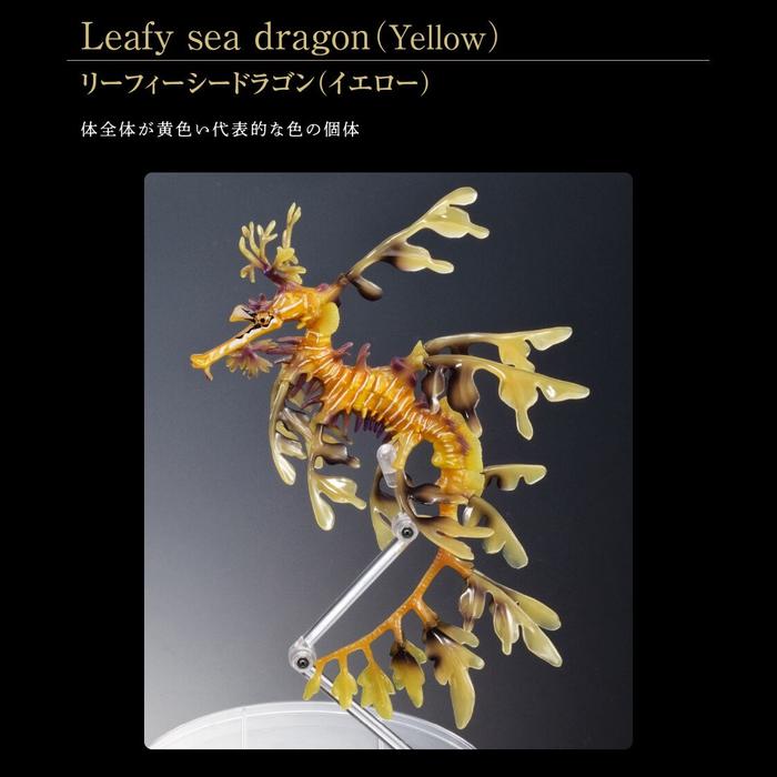 Gambar Ikimono Leafy Sea Dragon P-Bandai Seadragon Gacha Gasha Action Figure - Yellow dari Pokotoko undefined Tokopedia