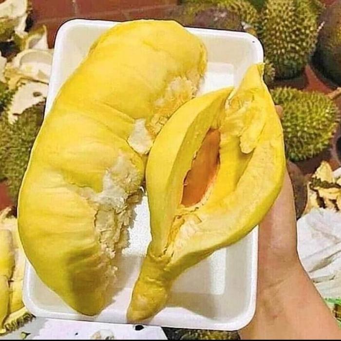 Gambar Durian Utuh Bulat 2kg Kuning Mentega Pilihan - Kuning emas, Legit Manis dari Tulus Durian undefined Tokopedia