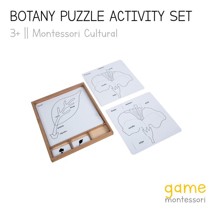 Fall Toddler Toys Montessori Botany Parts Of A Seed Pdf Puzzle Activity ...