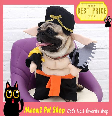Gambar Baju Pakaian Kostum Kucing Karakter Lucu - Siluman Babi, M dari Meow2shop undefined Tokopedia