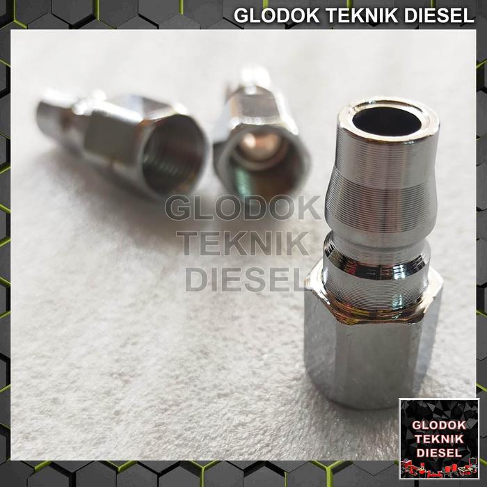 Gambar Quick Coupler Plug SET Sambungan Kompresor Angin SF20 & PF20 1/4" Inch - PF 20 (male) dari Glodok Diesel undefined Tokopedia