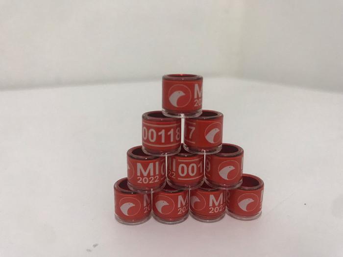 Gambar Ring Cincin Merpati MI22 MerpatiID 2022 - standar - Merah dari MerpatiID - Merpati Indonesia undefined Tokopedia