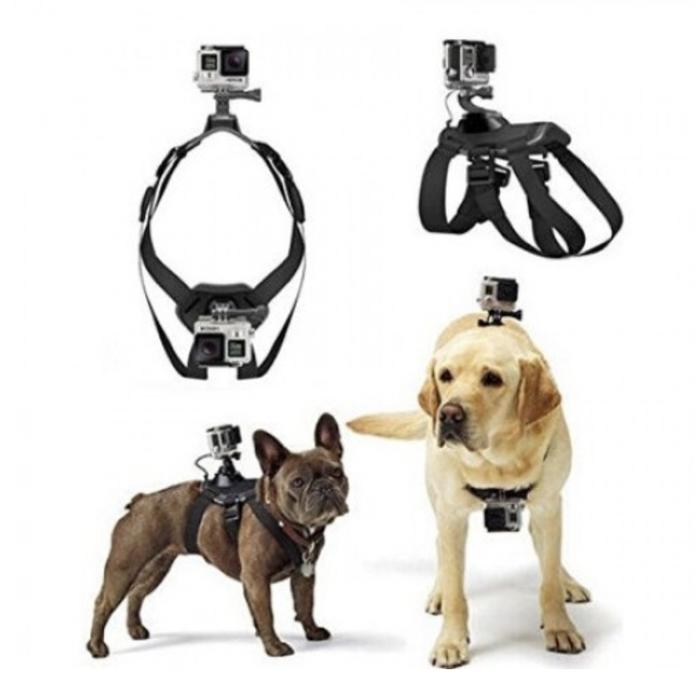 Jual SHOOT XTGP186 Dog Cat Harness Mount for Gopro Xiaomi Action