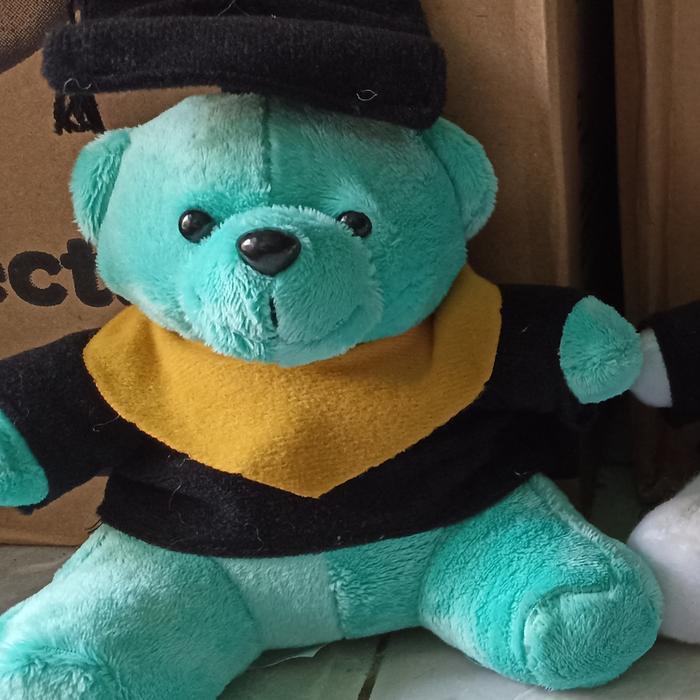 Gambar BONEKA WISUDA 15cm - tosca dari MELGIFA undefined Tokopedia