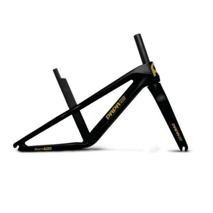 Gambar Frame Sepeda Anak Push Bike Carbon Papa Bike Storm Pro Racing - hitamgold dari arenagowes undefined Tokopedia
