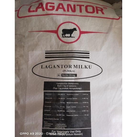 Gambar TERBARU!! Lagantor Milku Premix Sapi Perah Sapi Potong Kambing Pemacu dari Rikta undefined Tokopedia
