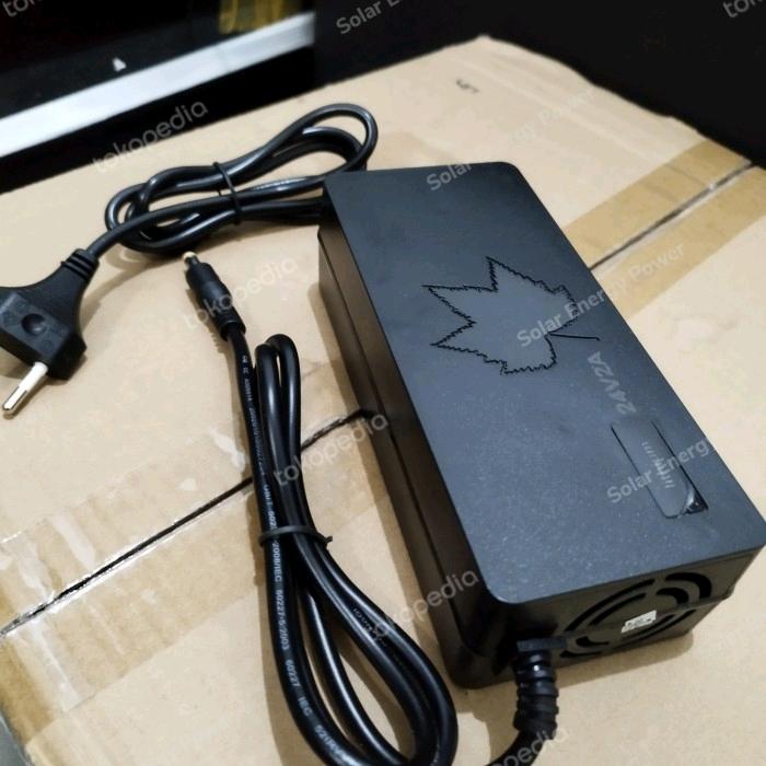Battery Charger lithium 18650 Adaptor Charger 24v 2A Quick Charger