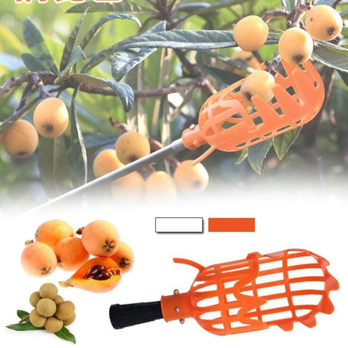 Gambar Alat Pemetik Buah Logam Untuk Pertanian / Kebun /Alat Petik Buah segar - TYPE 2 dari Jitu Warehouse undefined Tokopedia