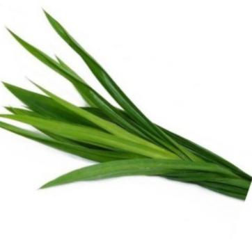 Gambar Daun pisang/Daun pandan 1ikat - Daun pandan dari Pasar-Segar Bekasi undefined 2 Tokopedia