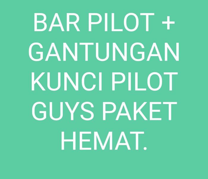 Gambar Bar pilot 4 Original Silver Student pilot captain Produksi langsung - BAR 4+GK.PILOT dari Skyteam Shop undefined Tokopedia
