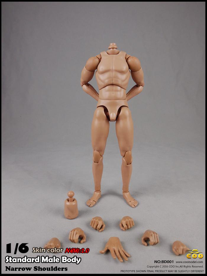 Gambar COOMODEL BD001 BD002 1/6 Standard Male Body (Detachable Neck) - BD001 dari SW Toyshop undefined Tokopedia