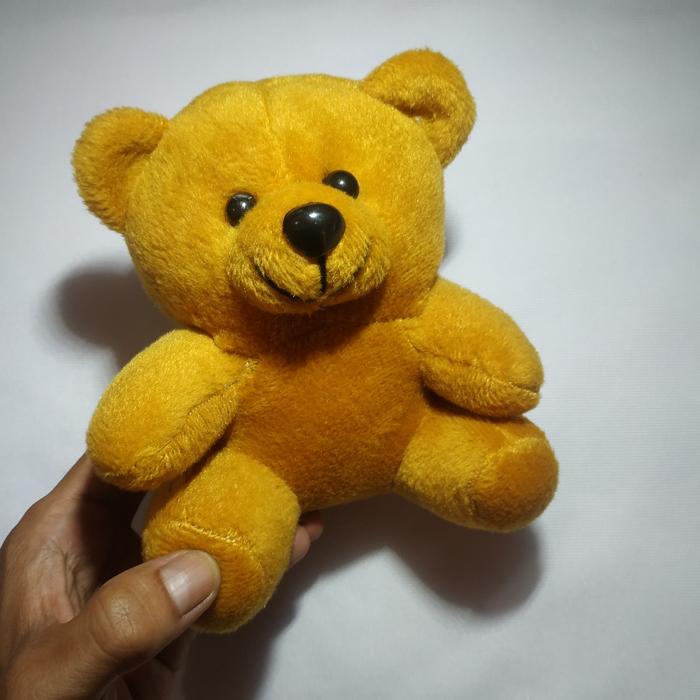 Gambar boneka teddy bear mini polos - coklat full dari Bonekacomel.id undefined Tokopedia