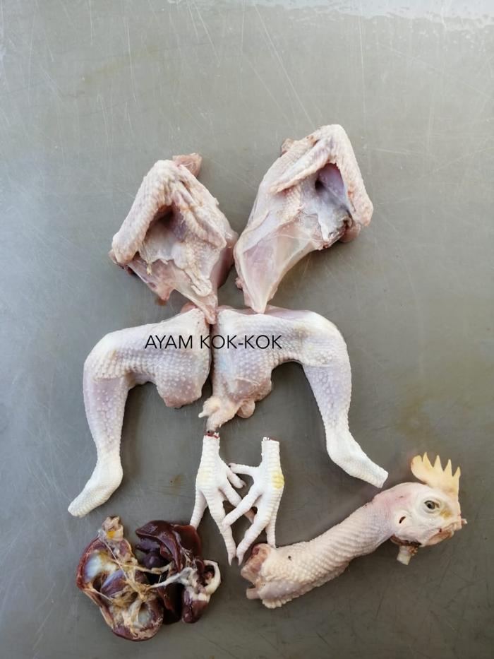 Gambar Ayam Pejantan 600 gram (6 ons) ukuran hidup - FRESH - Potong 4 dari Ayam Kok-Kok undefined Tokopedia