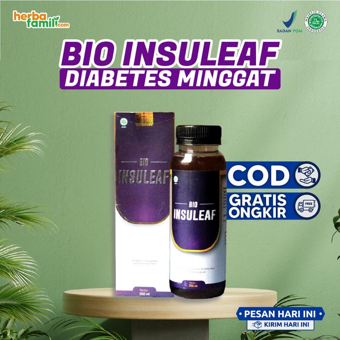 Gambar BIO INSULEAF OBAT HERBAL ALAMI KHUSUS DIABETES DAN KENCING MANIS dari Herba Famili undefined Tokopedia