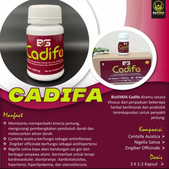 Gambar Obat Jantung - Obat pembengkakan Jantung - Memperbaiki kinerja Jantung dari BIOSYAFA JKT undefined Tokopedia