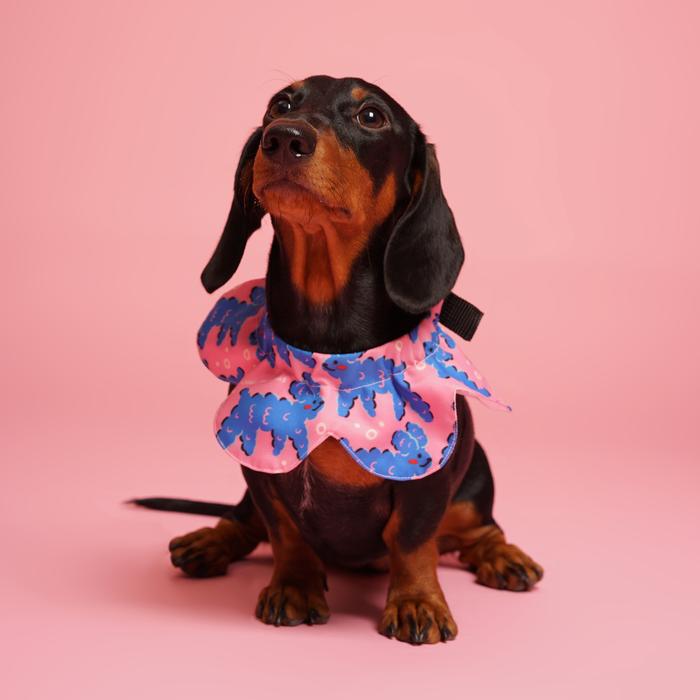 Gambar Furry Friends Dog Collar - S, Bandana Collar dari Liunic on Things Kota Administrasi Jakarta Barat Tokopedia