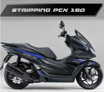 Gambar CUTTING STICKER NEW HONDA PCX 160 ADA 4 VARIAN WARNA - Biru dari STAINLESS SEDOTAN YESS undefined Tokopedia