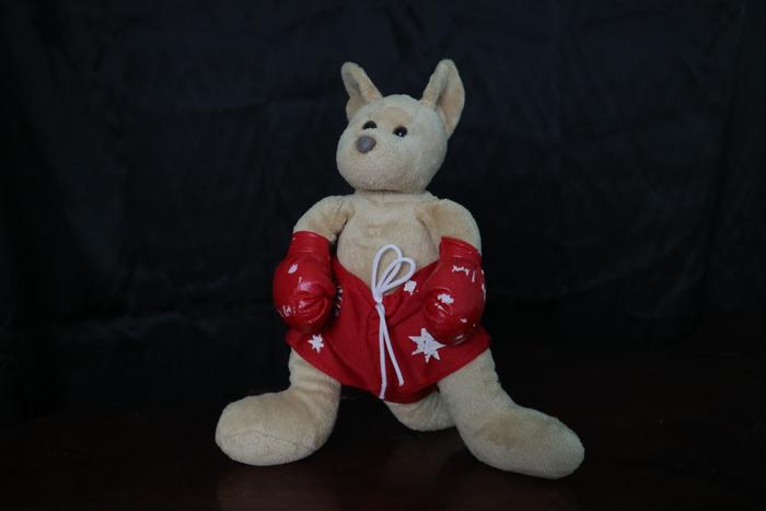 Gambar Preloved Boneka Kanguru - Cokelat dari WhiteWoodShop undefined Tokopedia