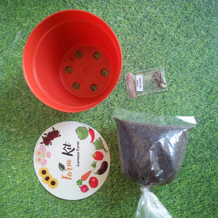 Gambar Hampers Anak Hadiah Ulang Tahun Paket Farming Kit Menanam Buah Sayur - Nice Farm dari Starkids & Toys undefined Tokopedia