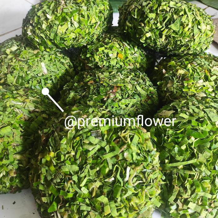 Gambar sanggul pandan asli/fresh dari melatijombang undefined Tokopedia