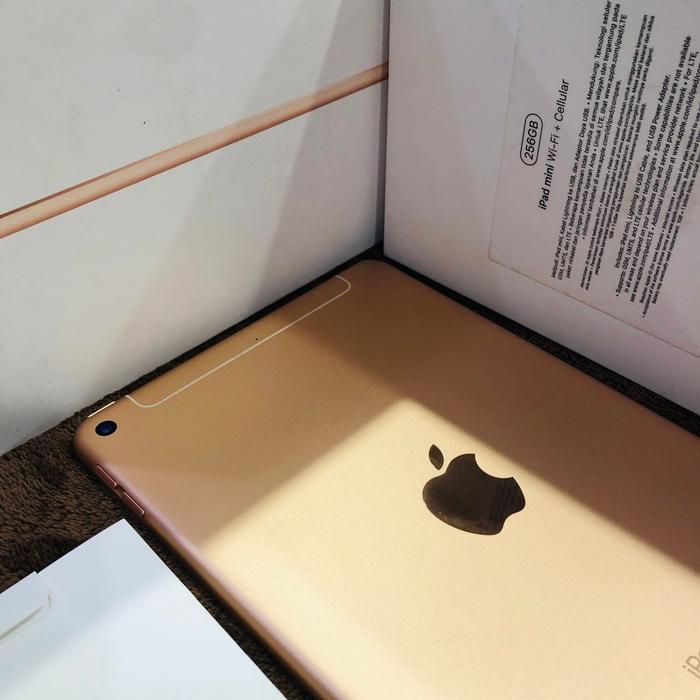 IPAD MINI5 LTE 256G, APPLECARE+