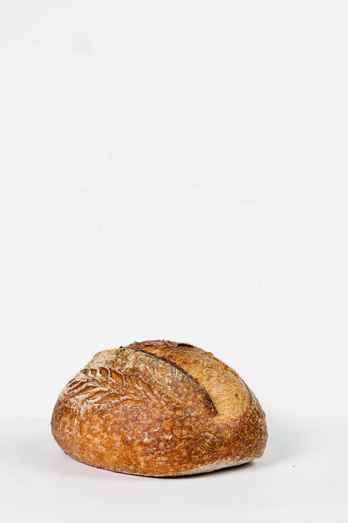 Gambar Haruyuki.id Original White Sourdough Country Bread - Reguler dari Tokonyaharuyuki undefined Tokopedia