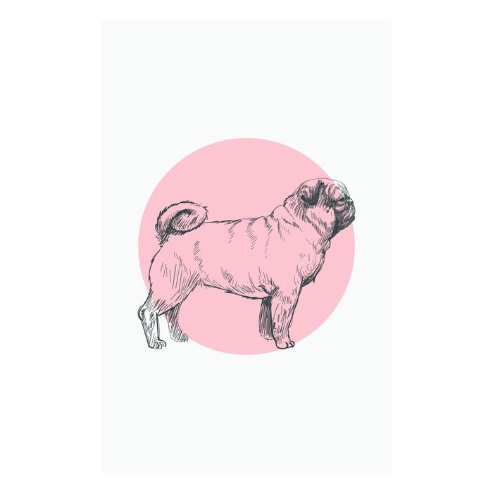 Gambar Kartu ucapan barkday / greeting card / gift card barkday dog - Pug dari Ottyver&#39;s barkfactory jakut undefined Tokopedia