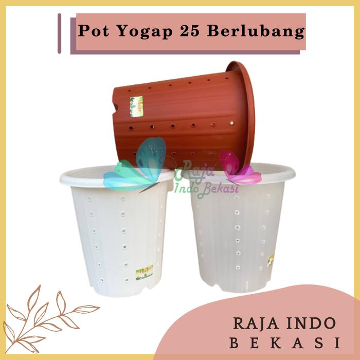 Gambar RAJA INDO BEKASI Pot Yogap 25 Putih Bening Transparan Merah Bata Merah Coklat Berlubang - Ypt-25-putih dari Raja Indo Bekasi undefined Tokopedia