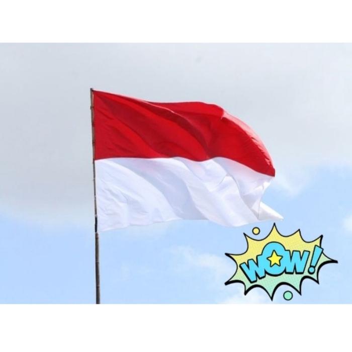 Gambar Bendera Merah-Putih Indonesia Merdeka ukuran kecil sedang sampai besar - MERAH PUTIH, 45 X 75 dari PALUTALARISJAYA undefined Tokopedia