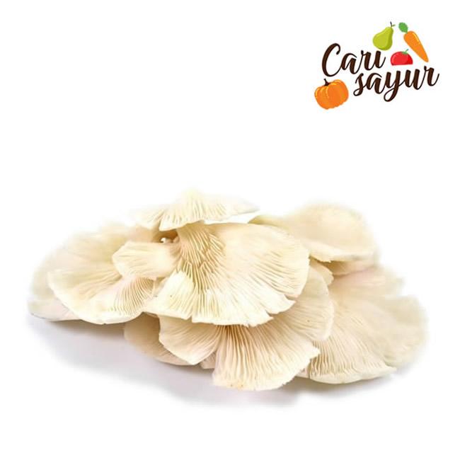 Gambar CARI SAYUR - Jamur Tiram Putih Segar [250 gram/pack] - 250 gram dari Carisayur Official undefined Tokopedia