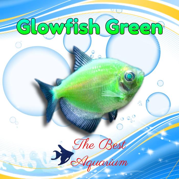 Gambar Glowfish - Hijau dari TBA Surabaya undefined Tokopedia