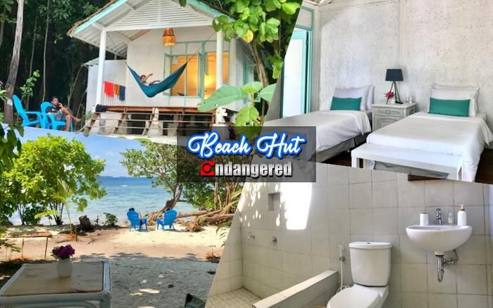 Gambar Paket Wisata Pulau Genteng Kecil Tour Pulau Seribu - Beach Hut, Snorkeling dari Endangered Store undefined Tokopedia