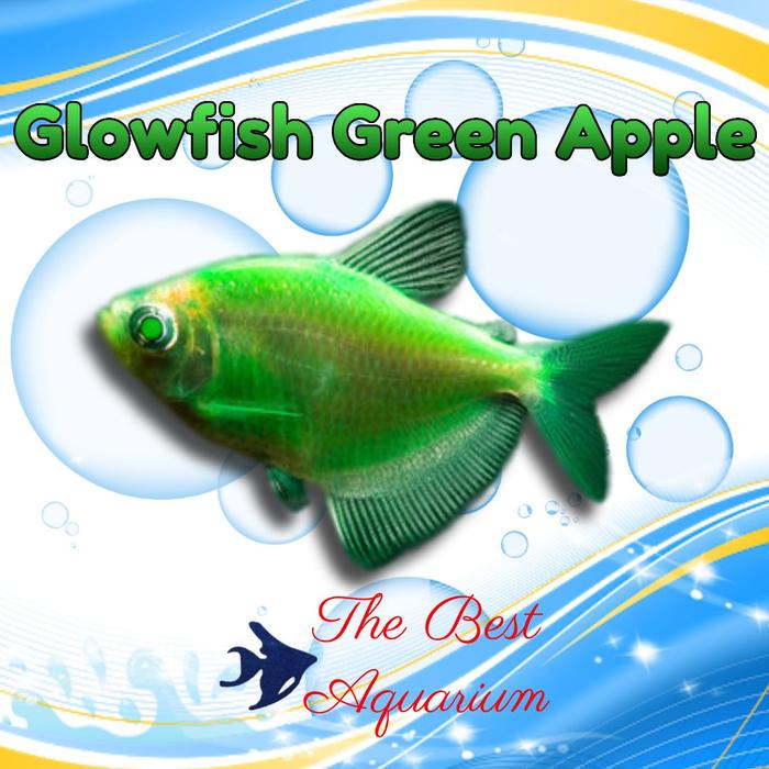 Gambar Glowfish - green apple dari TBA Surabaya undefined Tokopedia