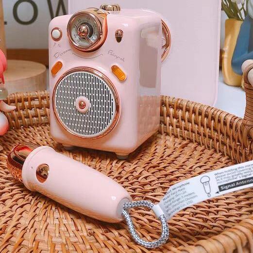 Gambar Divoom Fairy-OK Portable Bluetooth Speaker with Microphone Karaoke - Merah Muda dari Little Things Corner undefined Tokopedia