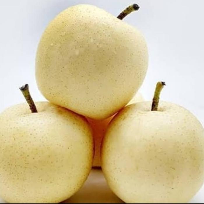 Gambar Buah Pear Century Pear Singo Pear Xianglie Pear Packham Pear Golden : - Pear Century dari fruitsBOX Buah & Sayur Segar undefined Tokopedia