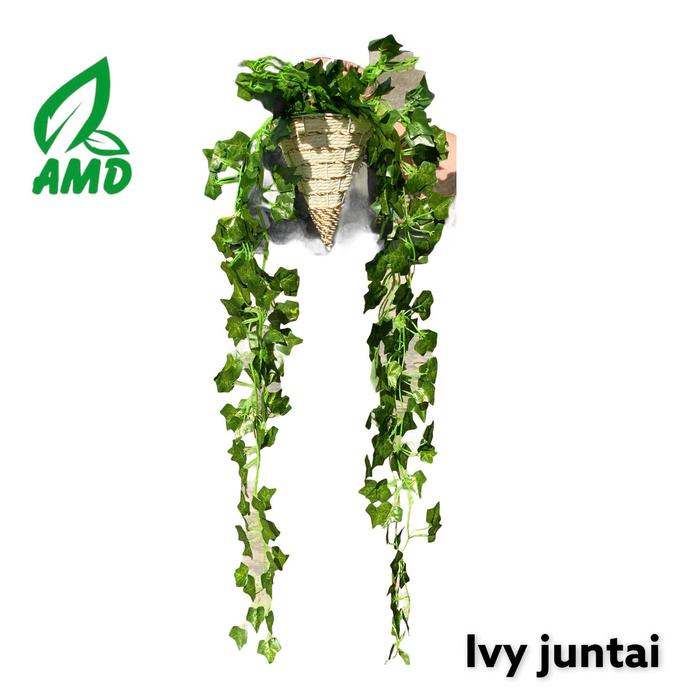 Gambar Daun Juntai Artificial Plastik Sintetis - Juntai IVY dari AMD Grass Bali undefined Tokopedia