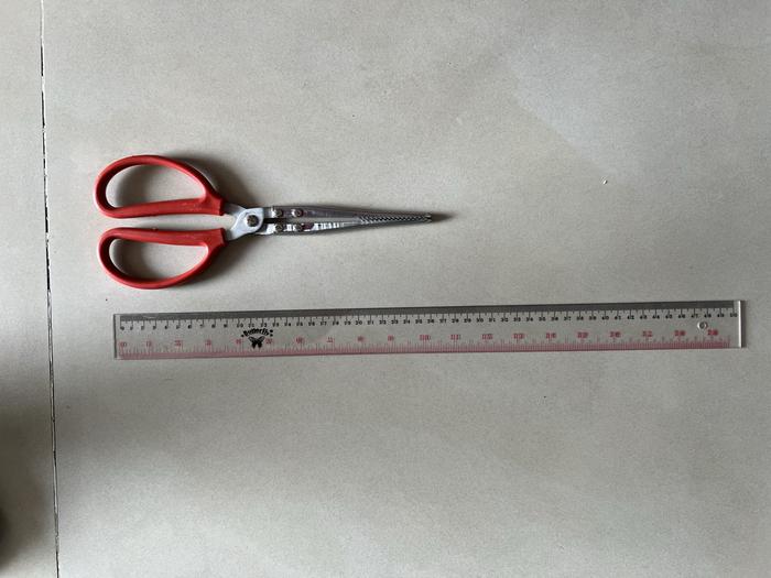 Gambar capit tikus / capitan tikus / gunting reptile / gunting tikus - 30 dari ballpythonindo undefined Tokopedia