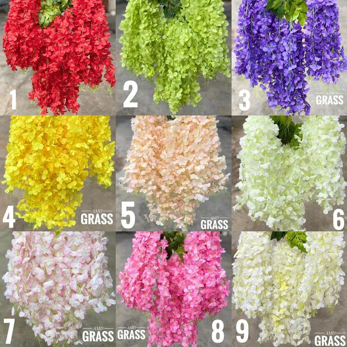 Gambar Bunga Wisteria Jumbo Juntai Murah - 5 dari AMD Grass Bali undefined Tokopedia