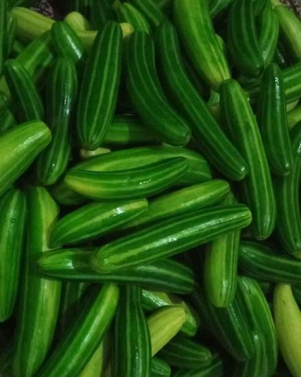 Gambar Krai Buah Kray Pare Belut - 250gr dari Pasar Sayur Sanjaya 2 undefined Tokopedia
